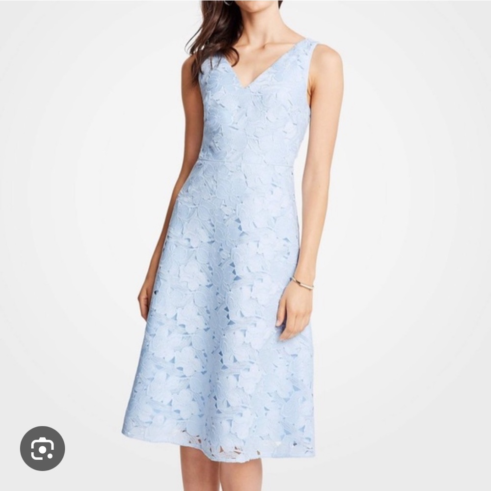 Ann Taylor - Floral Lace flare dress
